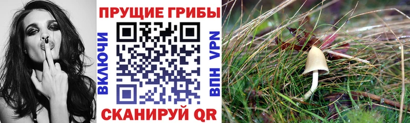 Галлюциногенные грибы ЛСД  блэк спрут   Новый Оскол 